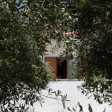 Villa Aelia Kámpos Exteriér fotografie