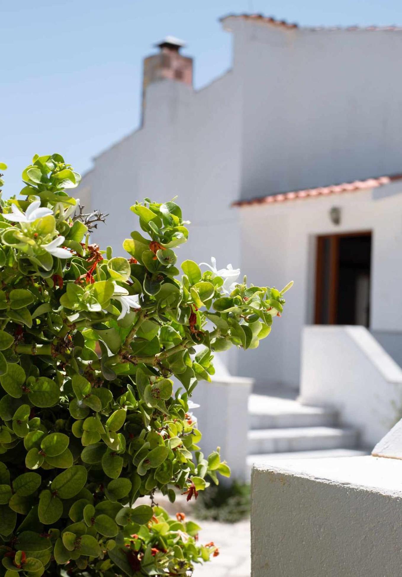 Villa Aelia Kámpos Exteriér fotografie