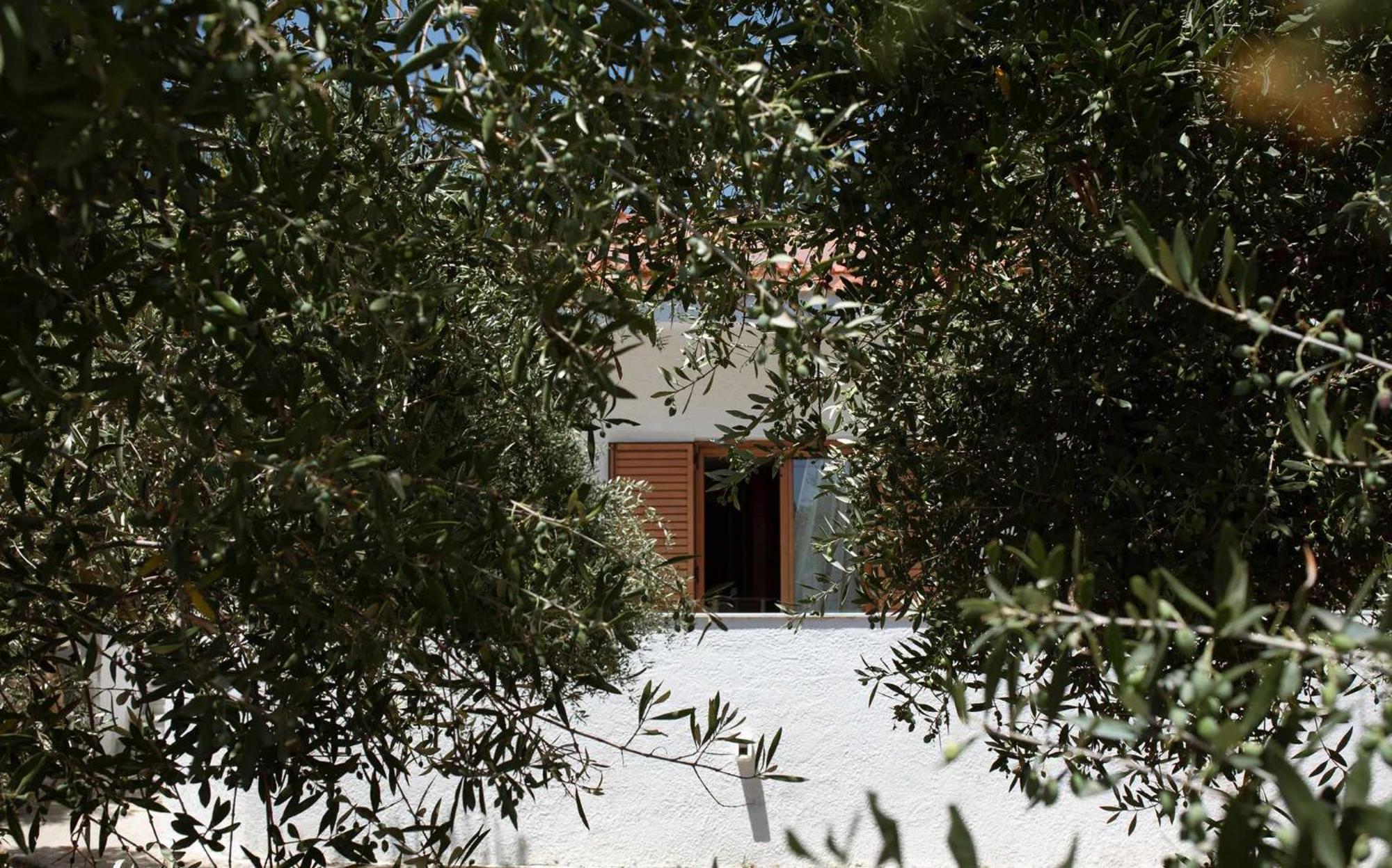 Villa Aelia Kámpos Exteriér fotografie